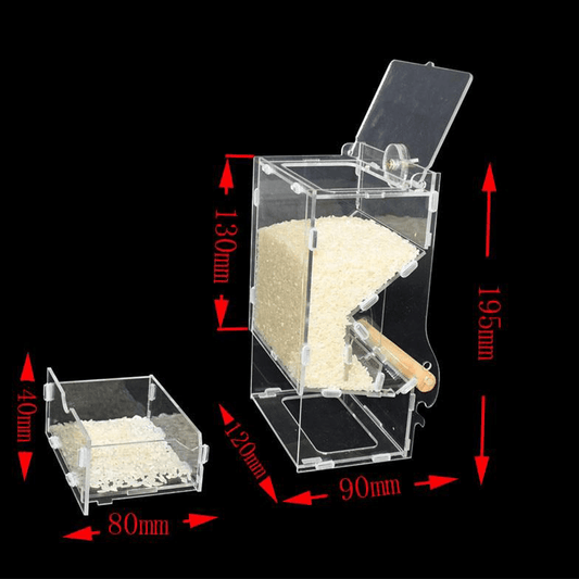 Mangeoire anti gaspillage perroquet