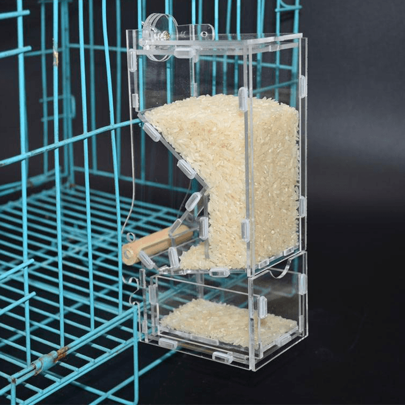 Mangeoire anti gaspillage perroquet