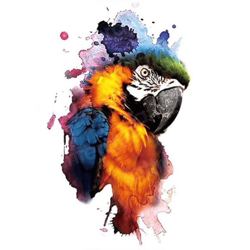 Model perroquet tatouage