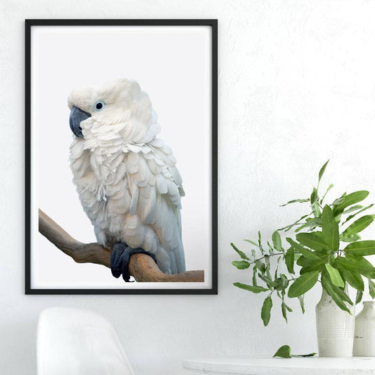 Peinture de perroquet sur toile