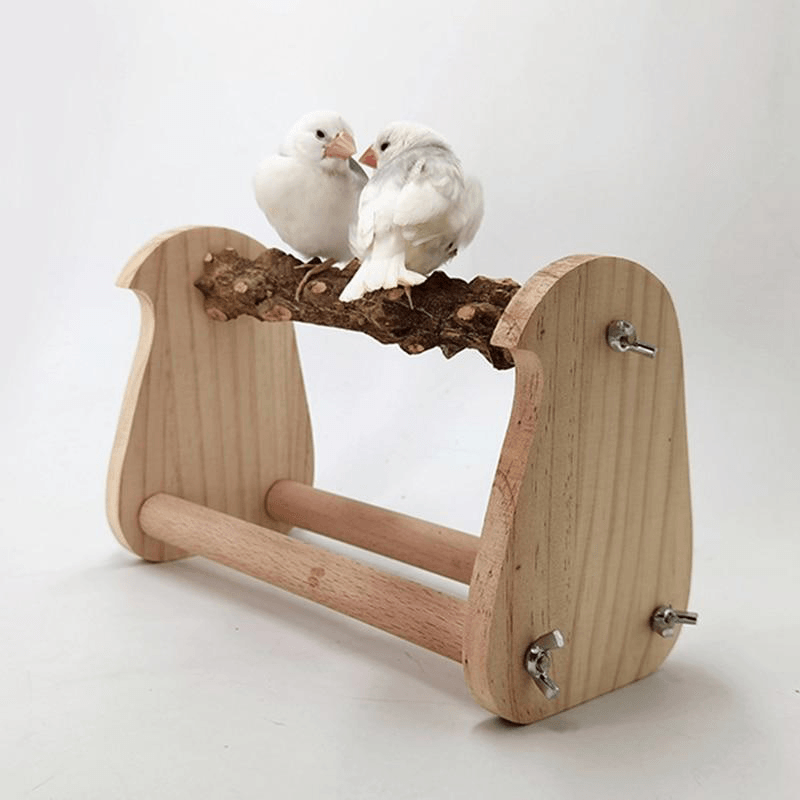 Perchoir bois dur pour perroquet