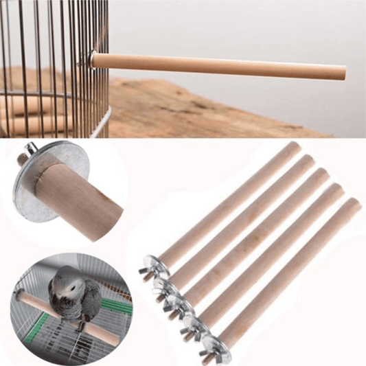 Perchoir bois perroquet