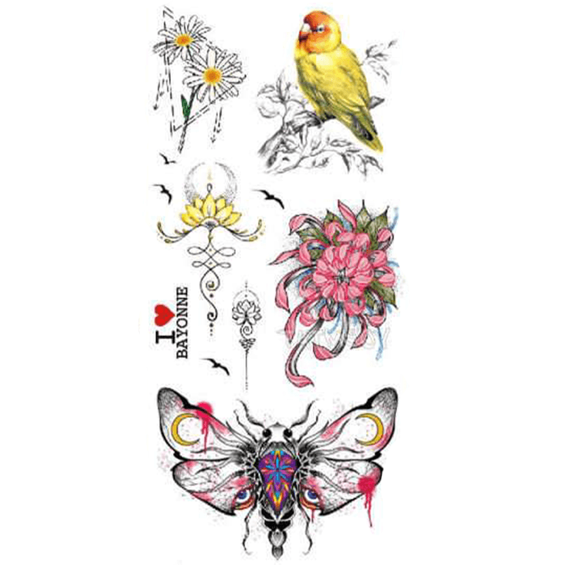 Perroquet dessin tatouage