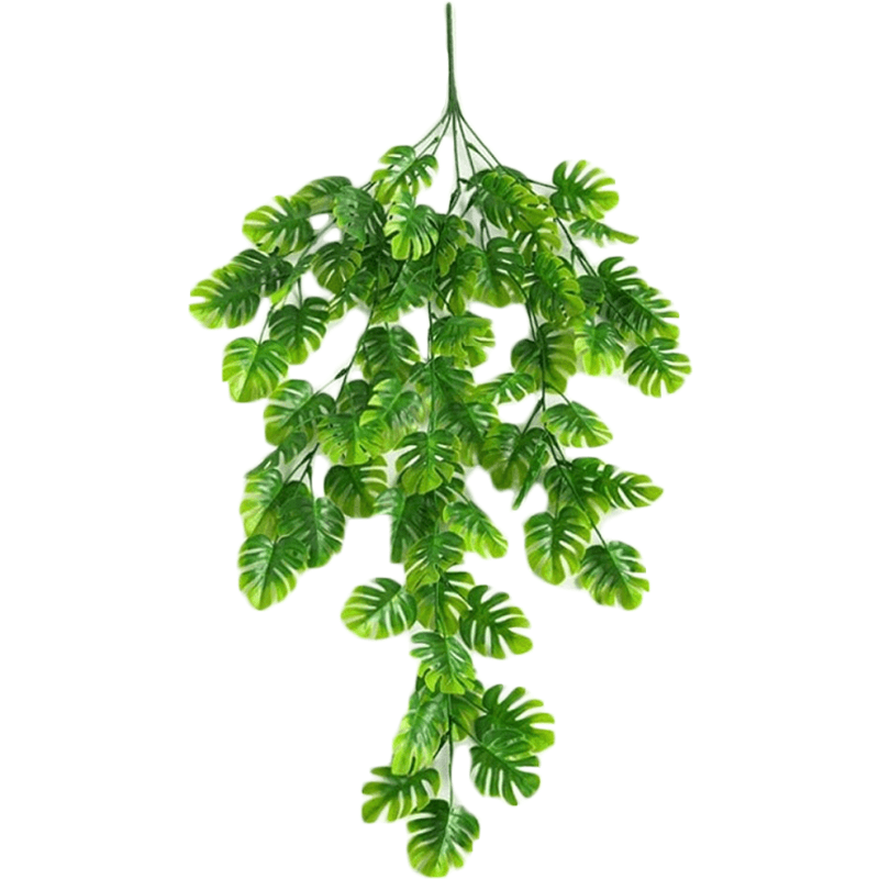 Perroquet plante verte