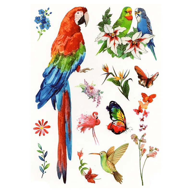 Perroquet tatouage