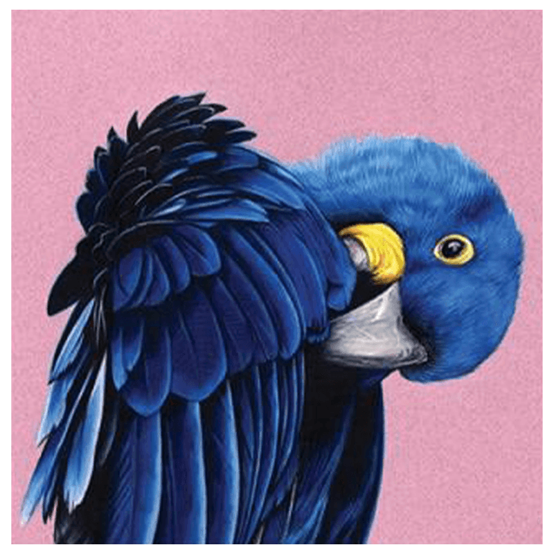 Perroquet toile