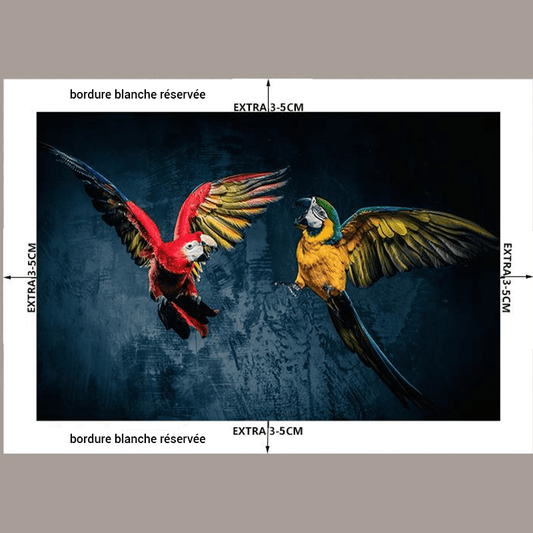 Perroquets a peindre sur toile