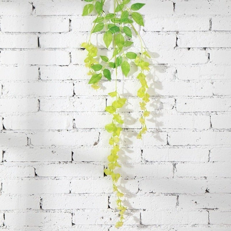 Plante fleur bec de perroquet