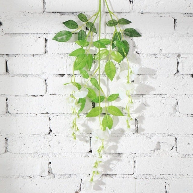 Plante fleur bec de perroquet