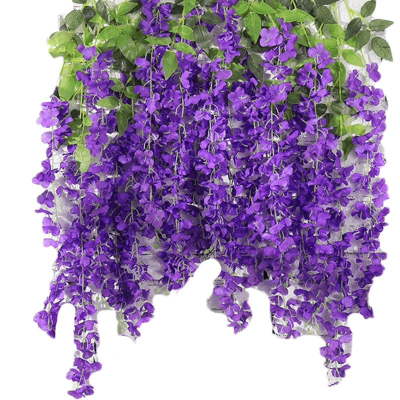 Plante fleur bec de perroquet