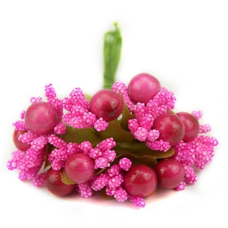 Plante fleur de perroquet