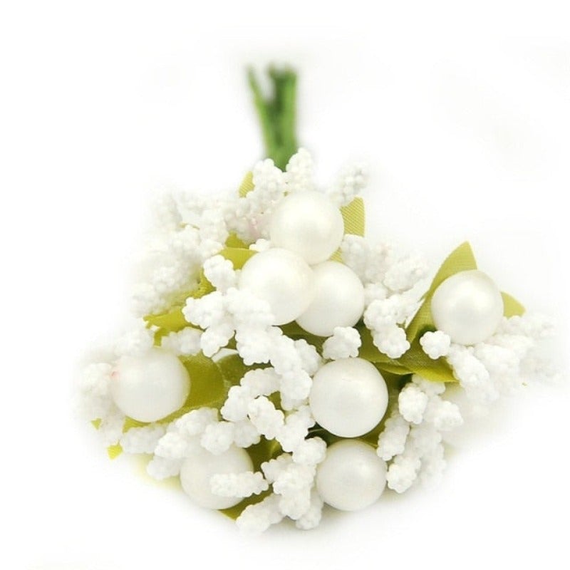 Plante fleur de perroquet