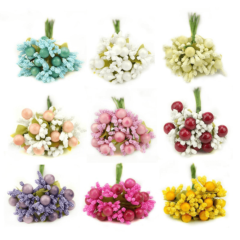 Plante fleur de perroquet