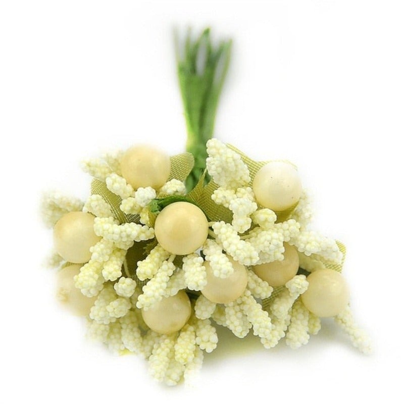 Plante fleur de perroquet