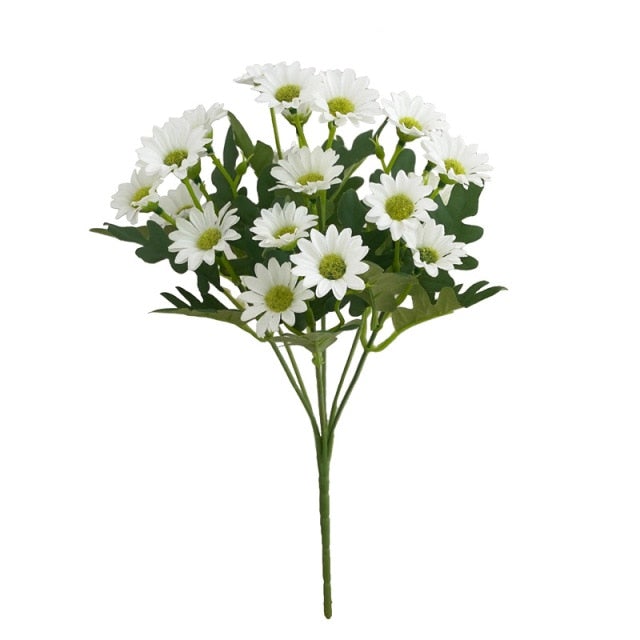 Plante fleur perroquet