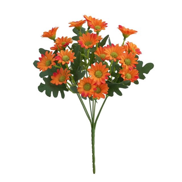 Plante fleur perroquet