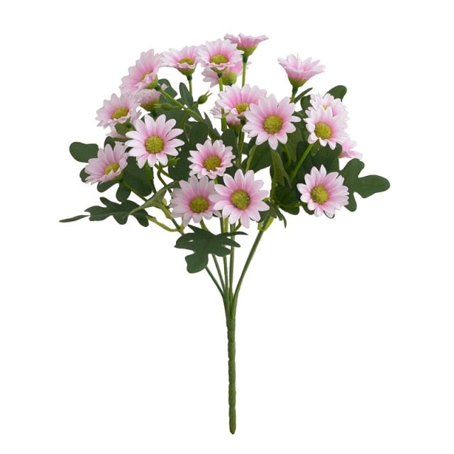 Plante fleur perroquet