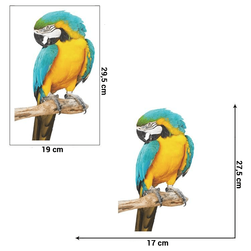Stickers mural perroquet