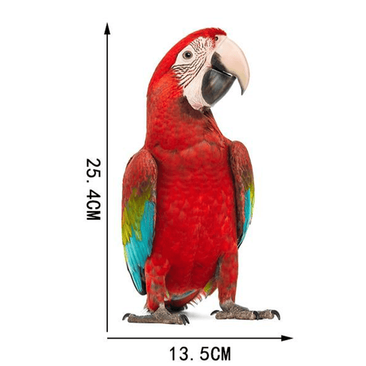 Stickers muraux perroquet