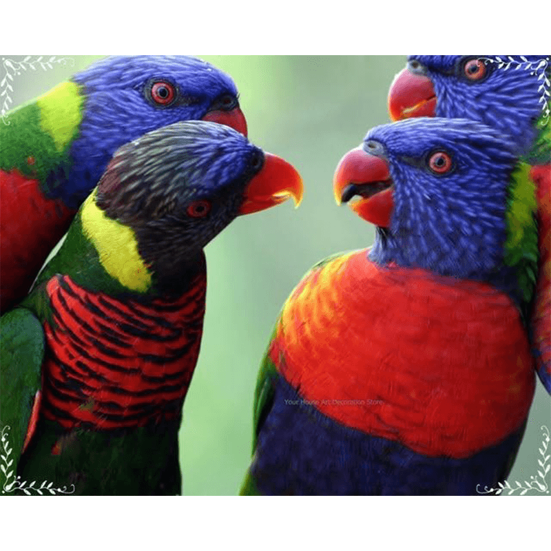 Tableau de 4 avec perroquet