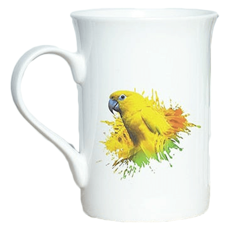 Tasse la soucoupe et le perroquet