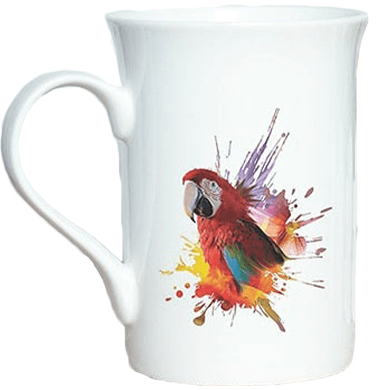 Tassement de vertèbre et bec de perroquet