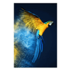 Toile murale perroquets