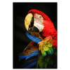 Toile perroquets ara