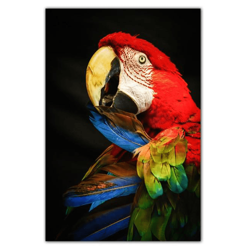 Toile perroquets ara