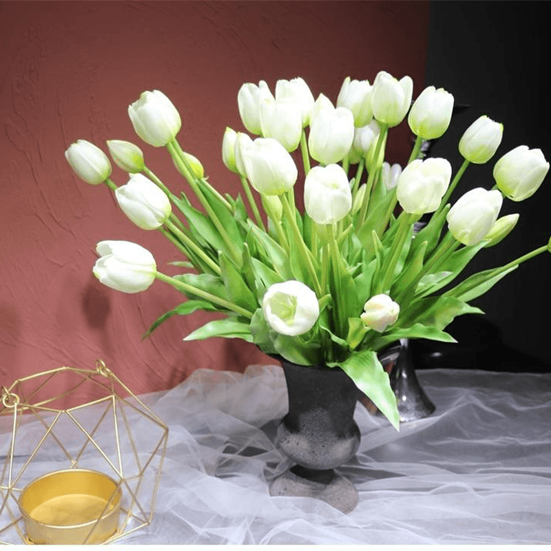 Tulipe perroquet blanche