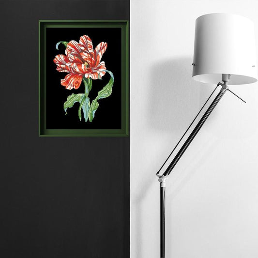 Tulipe perroquet noir