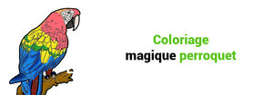 Coloriage magique perroquet