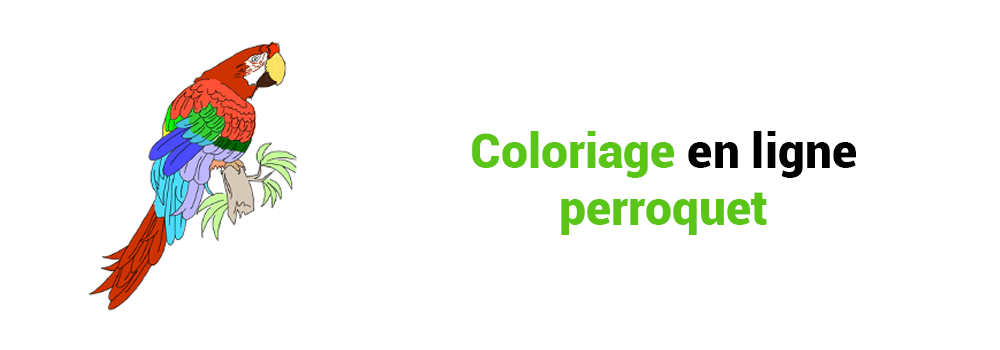 COLORIAGE EN LIGNE PERROQUET