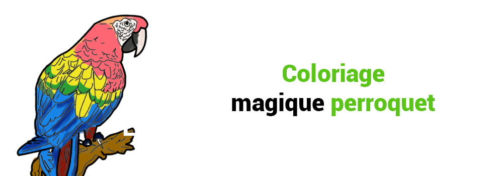 COLORIAGE MAGIQUE PERROQUET