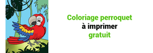 COLORIAGE PERROQUET À IMPRIMER GRATUIT