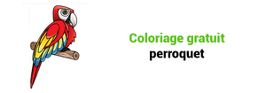 Coloriage gratuit perroquet