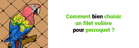 Comment choisir un filet volière pour perroquet 