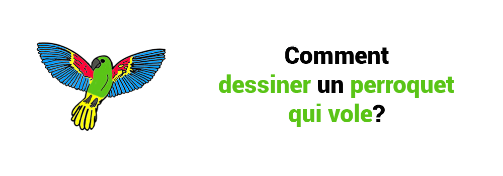 COMMENT DESSINER UN PERROQUET QUI VOLE?