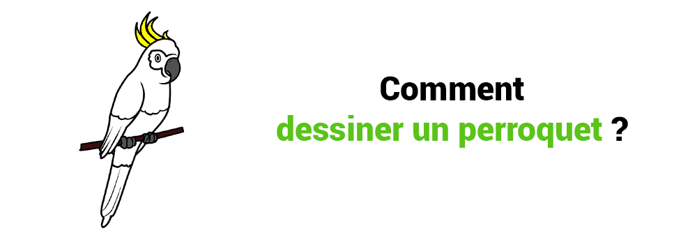 COMMENT DESSINER UN PERROQUET?