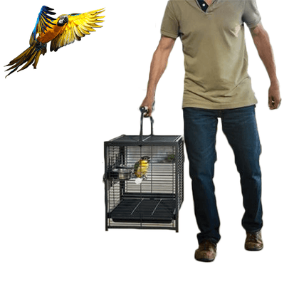 Cage de transport perroquet | Univers-du-perroquet