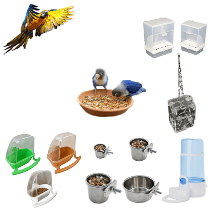 Mangeoire perroquet | Univers-du-perroquet