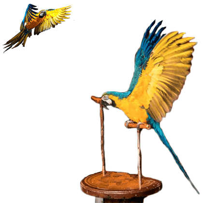 Perchoir perroquet | Univers-du-perroquet