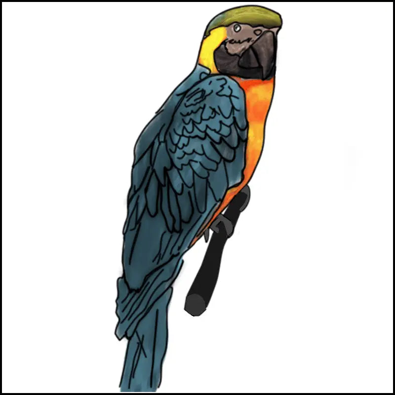 Coloriage à imprimer de perroquet