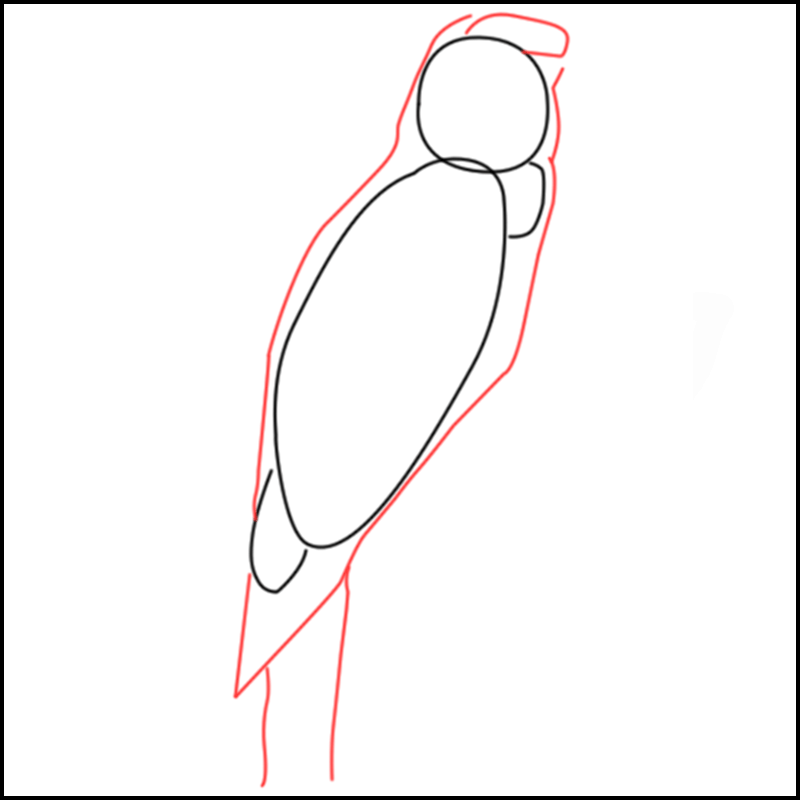 Coloriage à imprimer de perroquet
