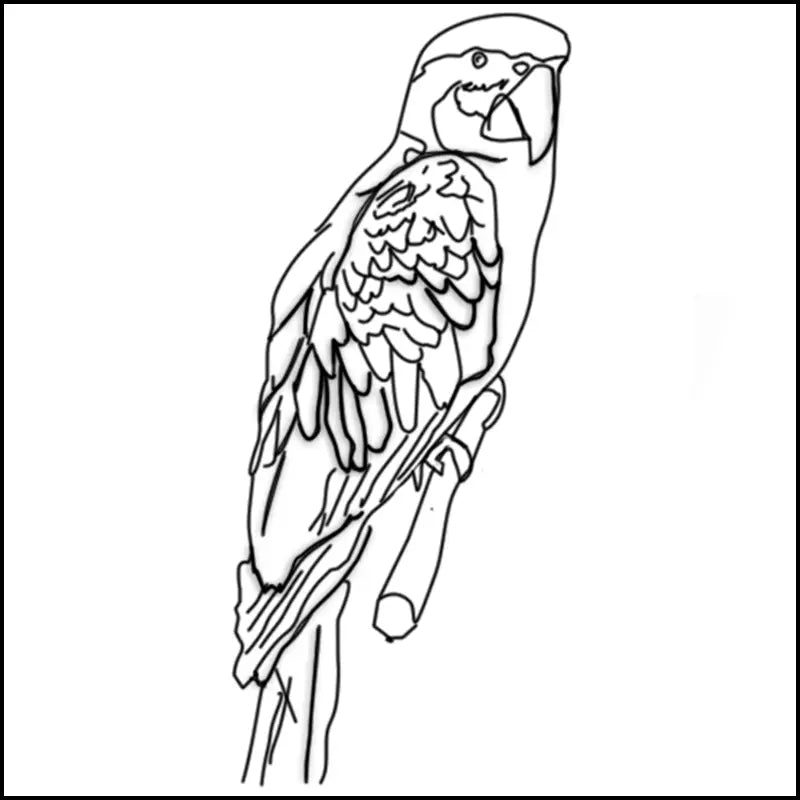 coloriage à imprimer de perroquet