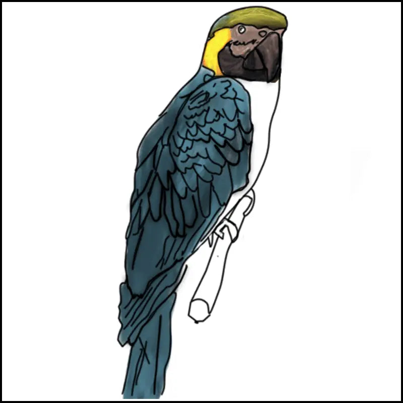 Coloriage à imprimer de perroquet