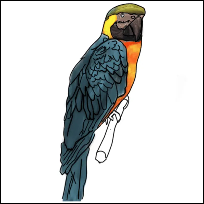 Coloriage à imprimer de perroquet