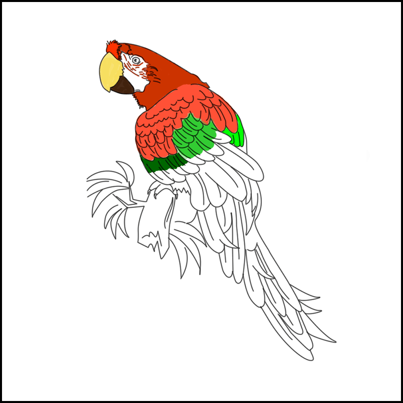 Coloriage en ligne perroquet