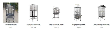 Cage d’occasion ou neuve pour perroquet: comment choisir?