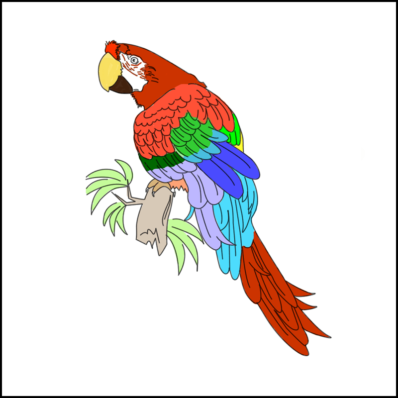Coloriage en ligne perroquet